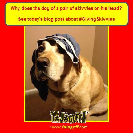 1970612_830517293646444_7360550628505204319_n