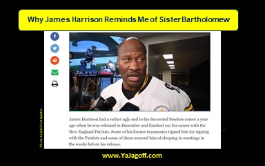 James Harrison, Steelers