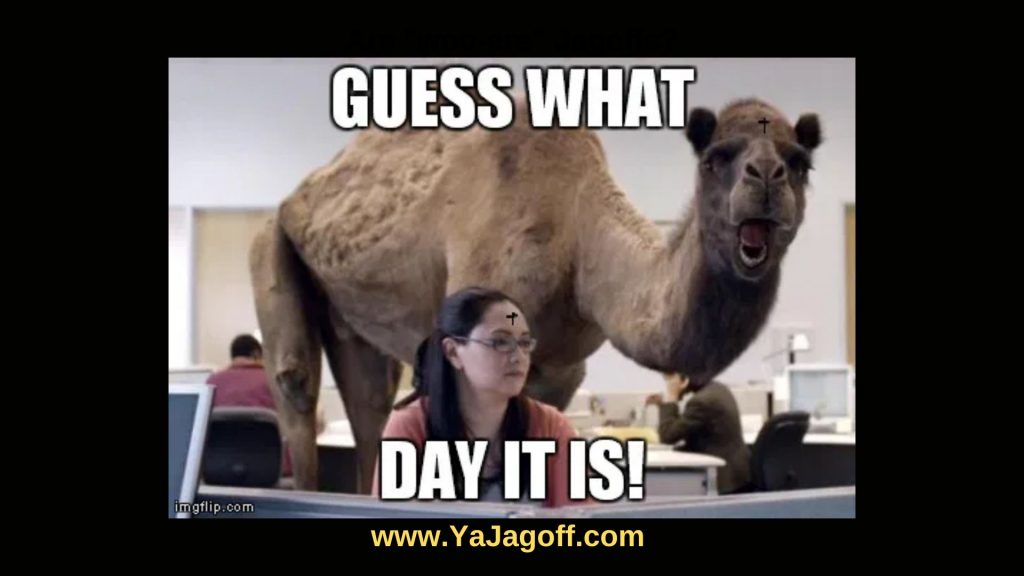 Ashe Wednesday YaJagoff Podcast