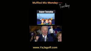 Super Tuesday Jagoffs