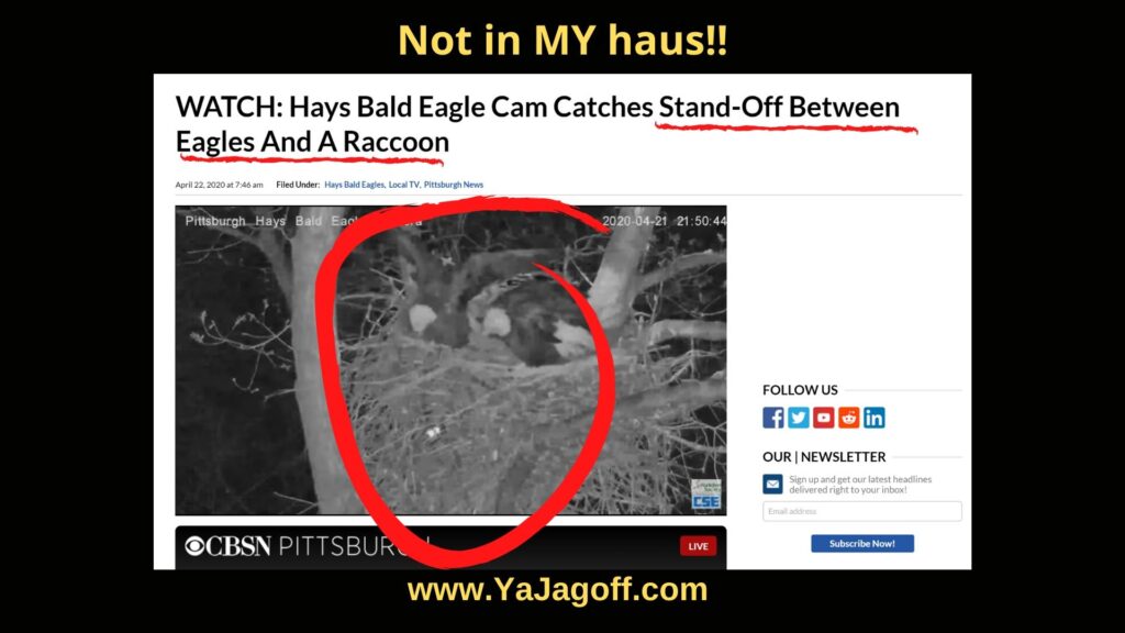 YaJagoff Eagle Nest