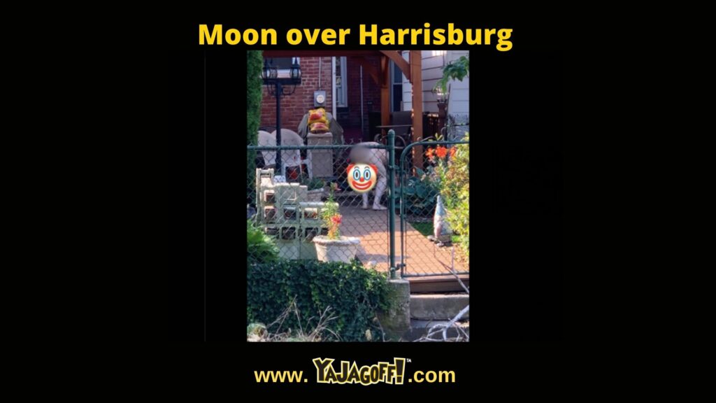 Harrisburg Finance Director