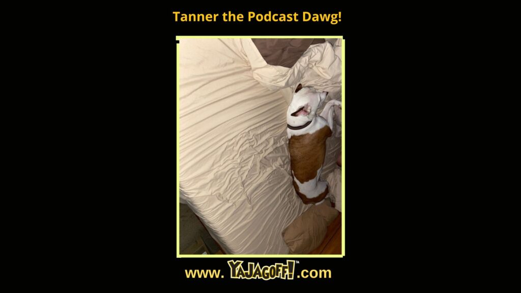 YaJagoff Blog, Tanner the Podcast Dog