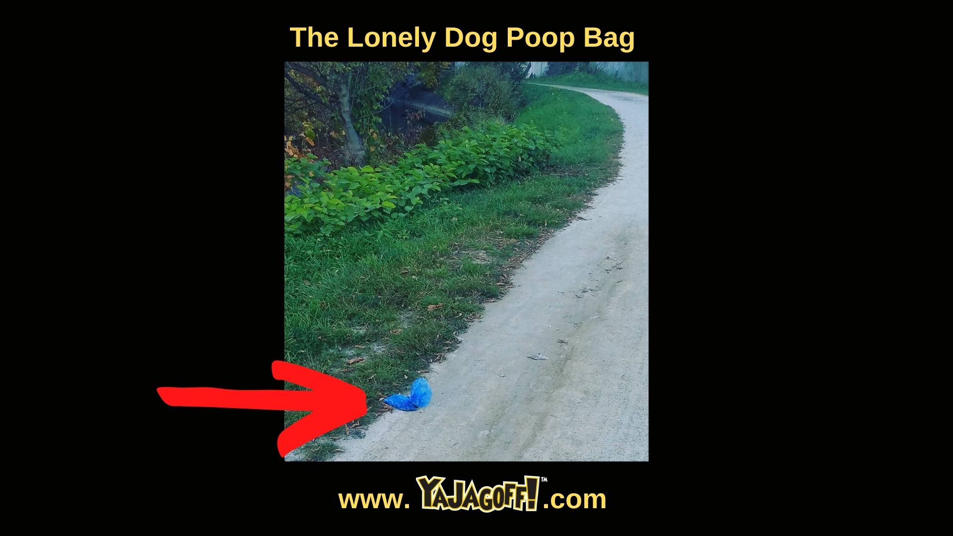 Dog Poop Jagoffs pic