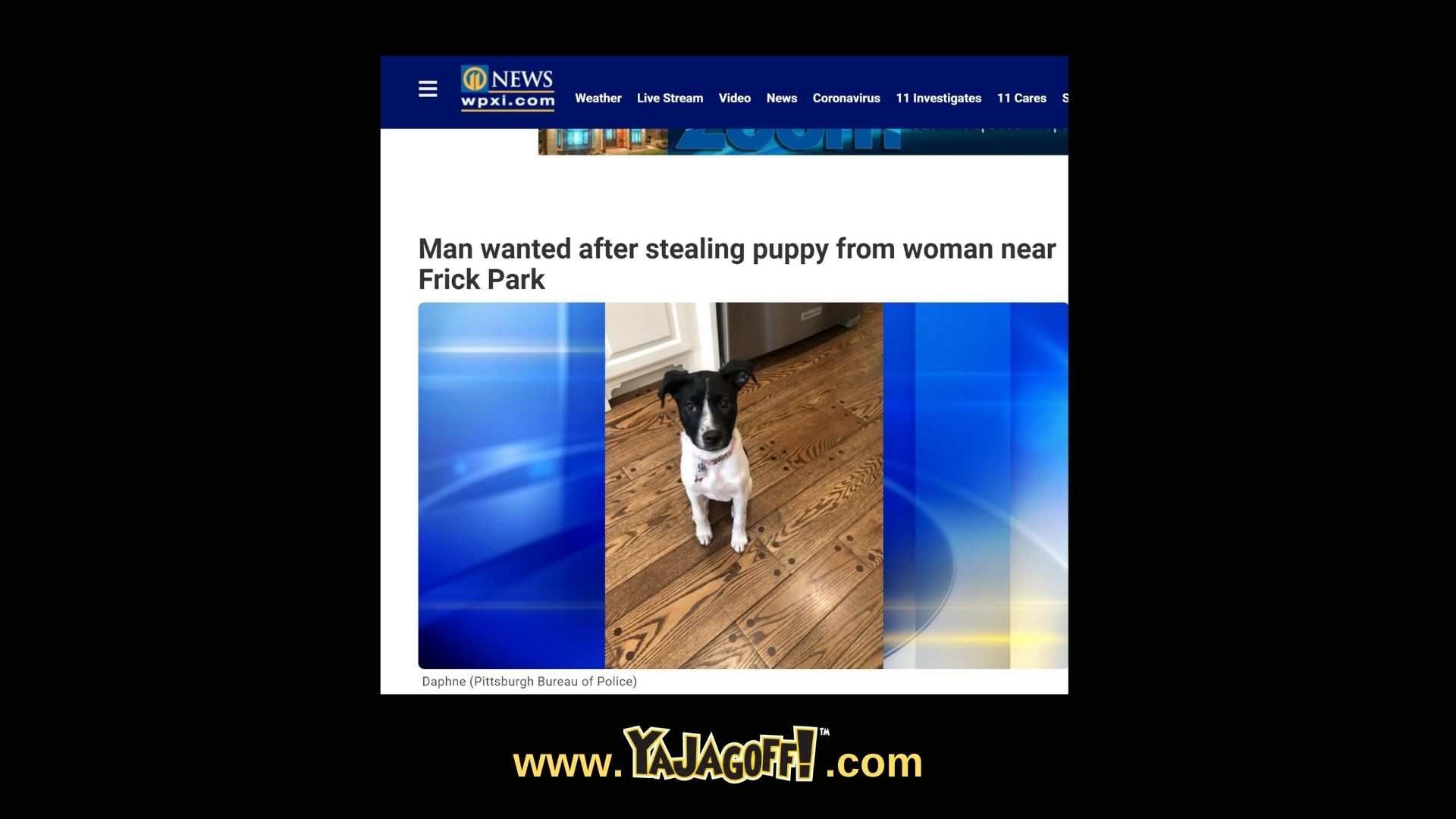 Dog Stolen Frick Park