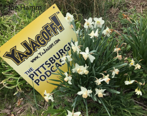 Daffodils on the YaJagoff Podcast