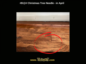 YaJagoff Blog Pine needles jagoffs