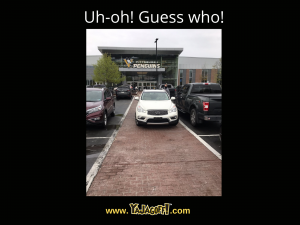 YaJagoff Blog Parking Jagoffs