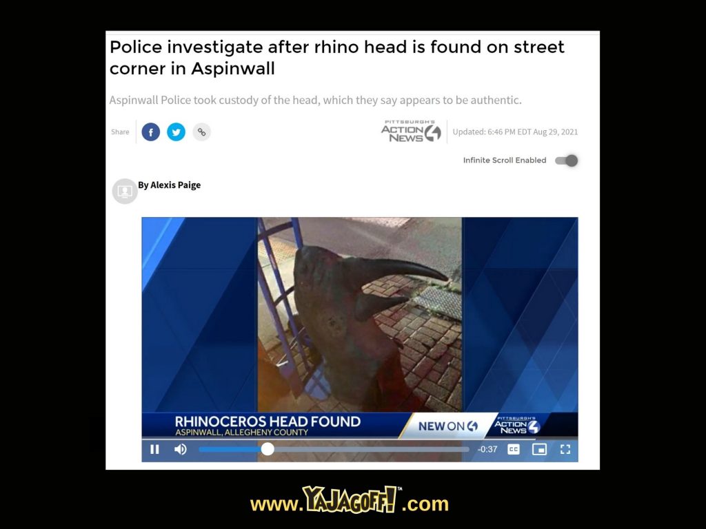 Missing Rhino head in Aspinwall