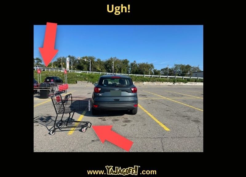 A Pitch for Autodriving Shopping Buggies Ya Jagoff!!!