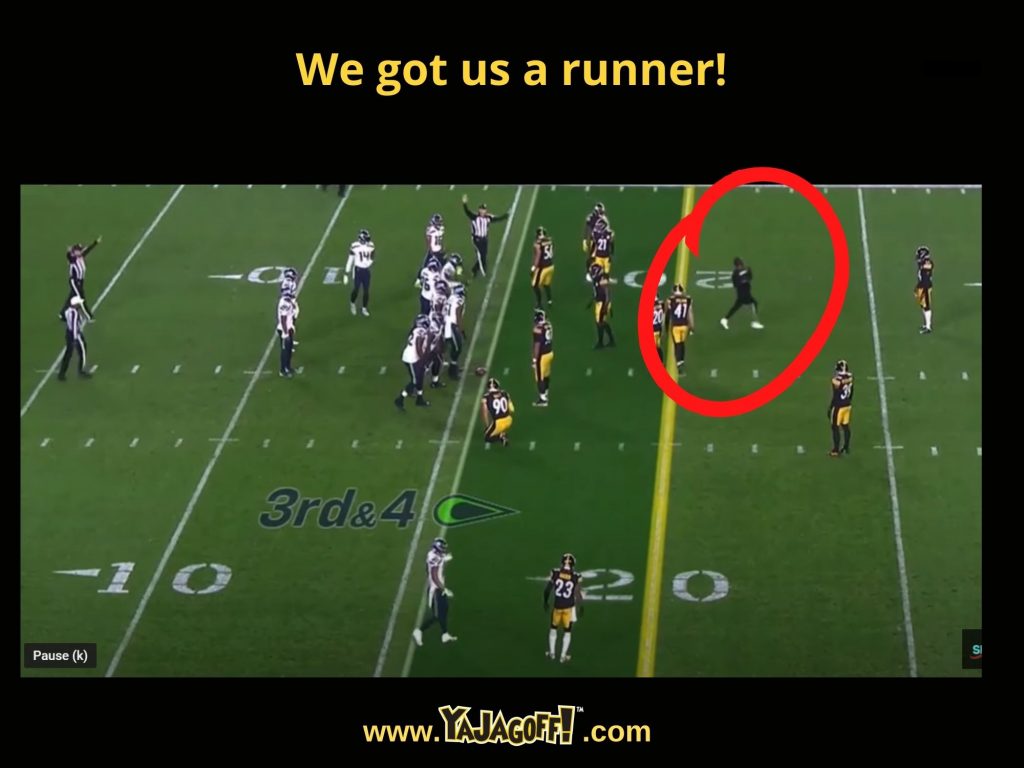 Jagoff on the field at Seahakws steelers game