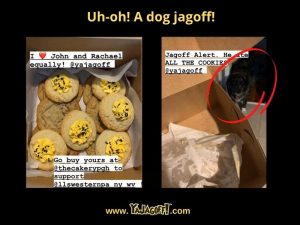 The Pittsburgh Blog Jagoff