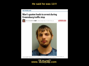 Dumb Criminal