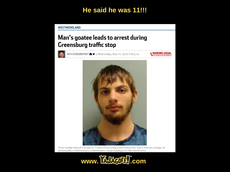 Dumb Criminal