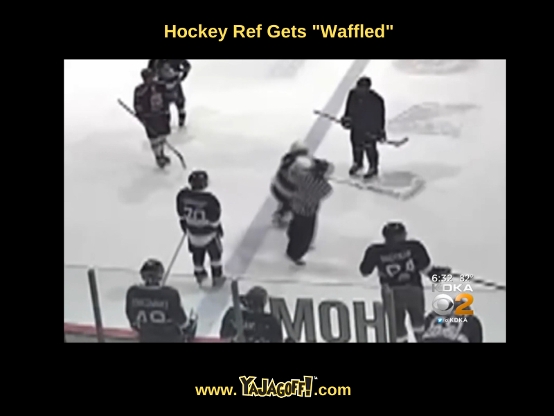 Hockey Reff Punched Printscape Arena