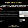 Paper Towel Bandit