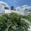 Pittsburgh Convention center rooftop garden