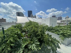 Pittsburgh Convention center rooftop garden