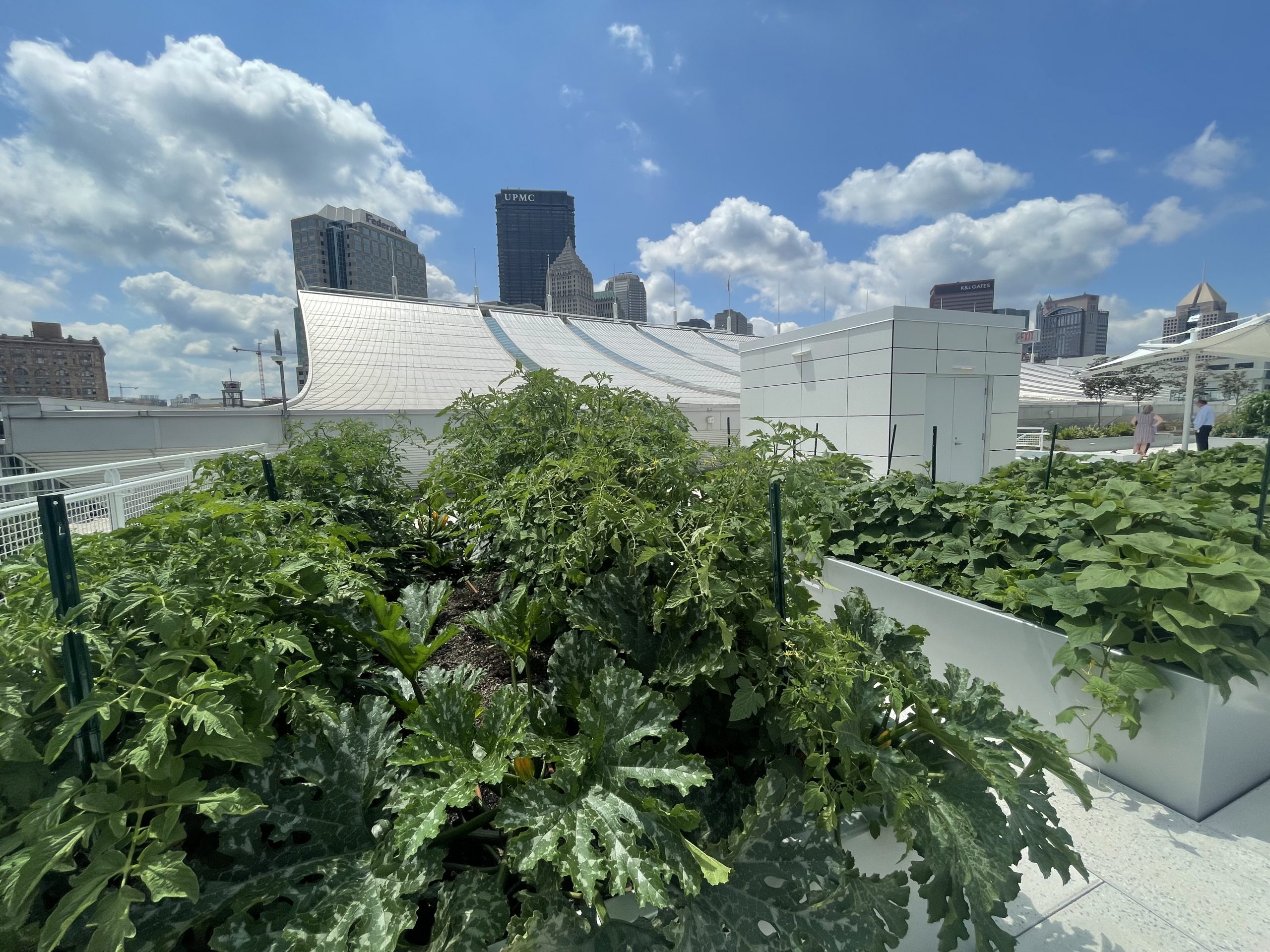 Pittsburgh Convention center rooftop garden