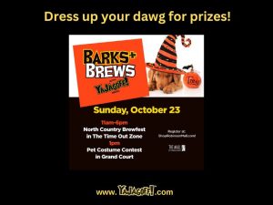 Barks and Brews at Mall at Robinson