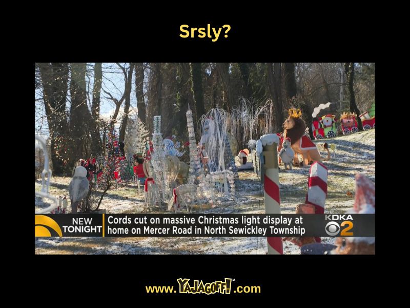 New Sewickley holiday decorations vandalized