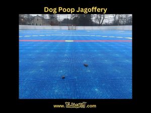 YaJagoff Blog and YaJagoff Podcast