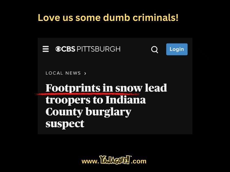 Dumb Criminal Jagoffs Blog