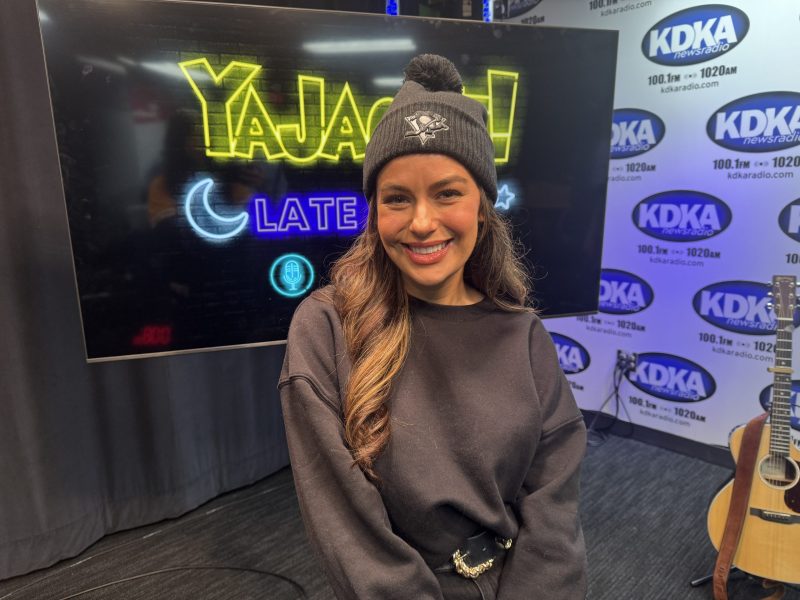 Kait Schoeb - Artist//Paints By Kait National Award-Winning Artist shares her story and her talents about on-the-spot commissions and special causes.