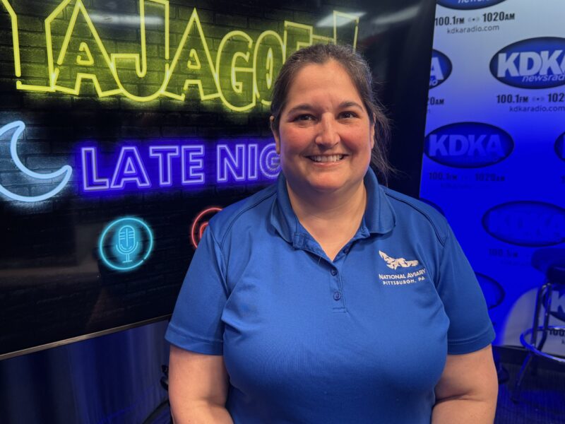 Cathy Schlott - National Aviary Armadillos are the new stars of the National Aviary quarterly! Wonka was made for the camera and wants you to buy tickets to Night In The Tropics presented by UPMC Health Plan