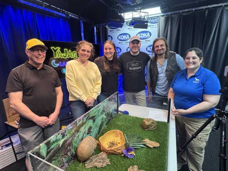 Game Show On The Go: Is it a 4, a 1 or a 2? Guess the number of items in the box without touching and win the glory! Hosted by Grace Papa, Bakery Square where the big 4-1-2 Day celly is happening!