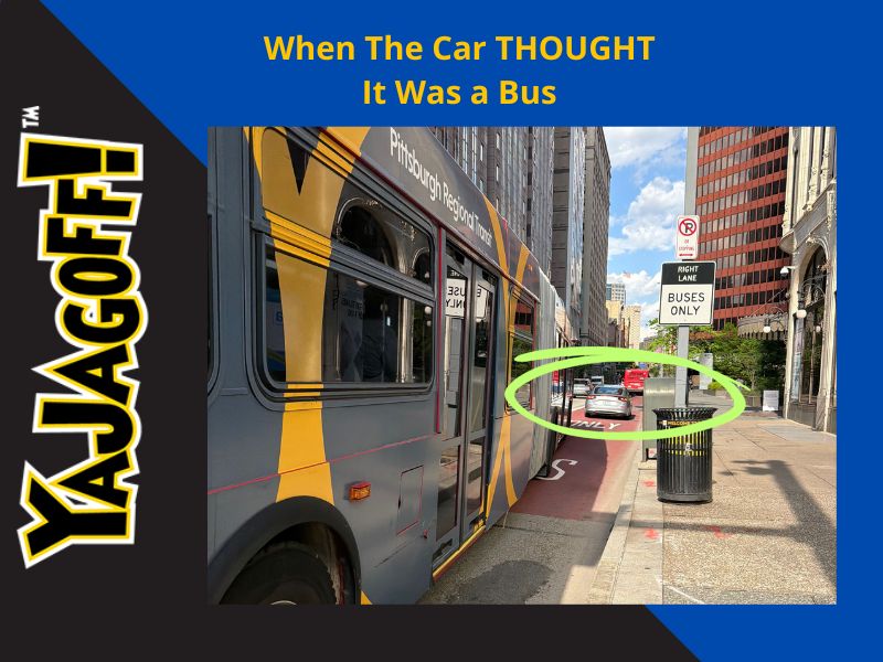 YaJagoff Bus Lane Jagoffs